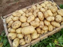 1491206788995152.jpg 5EFB908B3B0151A5346D9ED7F50B560C.jpg